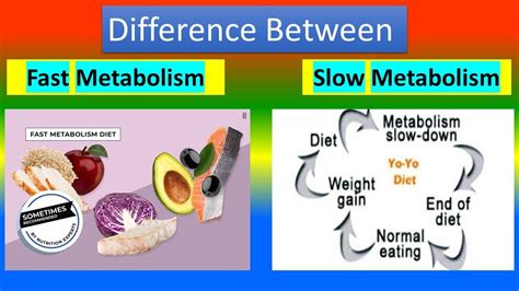  People with a faster metabolism tend to clear the drug more quickly compared to those with a slower metabolism