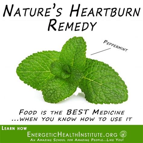  Peppermint is also widely used to relieve pruritis itchiness and relieve inflammation on the skin