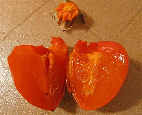  Persimmons are soft, and obviously, relatively speaking, the yan and lei clans are not in this category of course, when the softer persimmons are virginia farms cbd gummies crushed, sooner or later it will be their