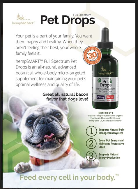  Pet owners are increasingly curious about the benefits of using CBD for their furry companions In this blog, we will explore the pros and cons of CBD for pets and provide essential considerations for incorporating it into your pet