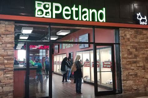  Petland Mall of Georgia 