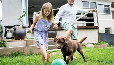  Physical activities for about minutes ensure that your dog gets a sufficient amount of exercise and stimulation