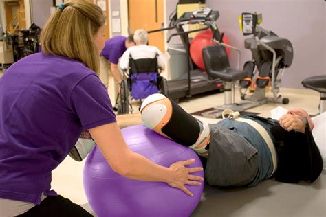  Physical rehabilitation following a CCL operation will support complete and quicker healing