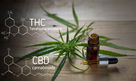  Physicians are hesitant to report the positive THC screens due to the many testing issues regarding THC and the potential removal of the child as a result of the positive test