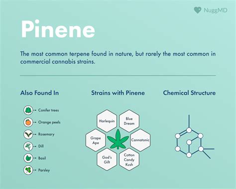  Pinene may have therapeutic effects