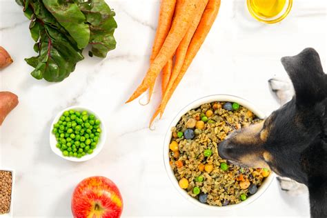  Plant-based pet nutrition has gained traction, and two common terms you