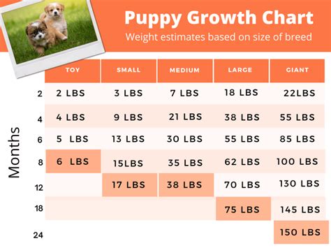  Please keep in mind that these numbers are averages, and every puppy will grow at a slightly different rate