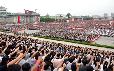  Poppy  Pyongyang