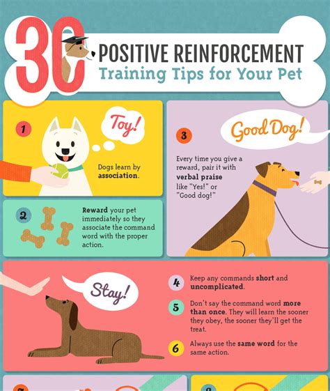  Positive reinforcement: Positive reinforcement works best when it comes to teaching puppies
