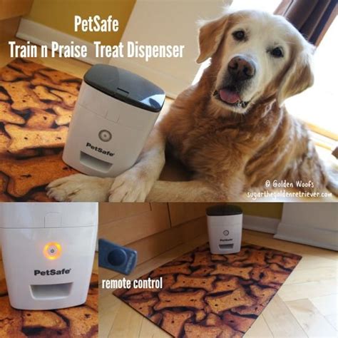  Praise and treats will go a long way to smoothing the road for a well-behaved pup