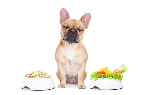  Preferred Food for French Bulldog Seniors While you can continue to feed French Bulldogs the same diet for most of their lives, there are some small changes that you can make for your senior dog