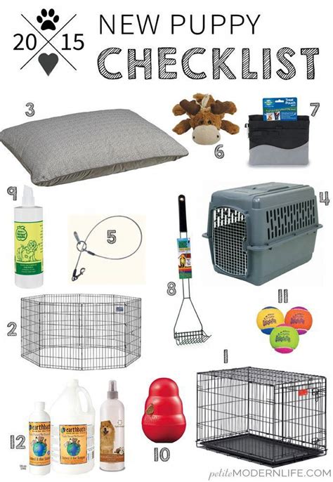  Prepare for Your Puppy: Once your purchase is complete, ensure you have all the essentials ready at home for your new furry friend, from food to a cozy sleeping area