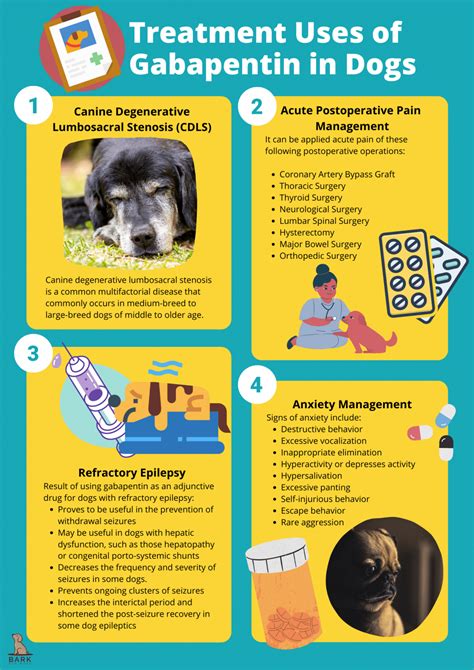  Preventing Seizures Gabapentin has anti-seizure properties that make it useful as an add-on treatment for dogs in which other medications don