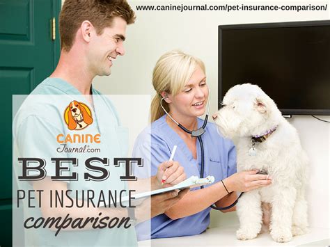  Pro Tip: Compare pet insurance plans to save on veterinary expenses and ensure that the cost of care never interferes with the essential treatment your pet deserves