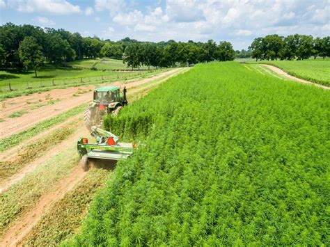  Production begins with hemp grown under the Kentucky Department of Agriculture
