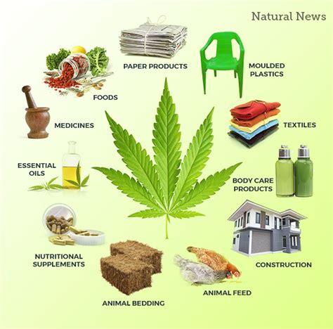  Products containing THC i