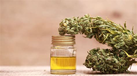  Products you should expect to find include: Cannabis Oil in San Diego Cannabis oil is an extract of the cannabis plant