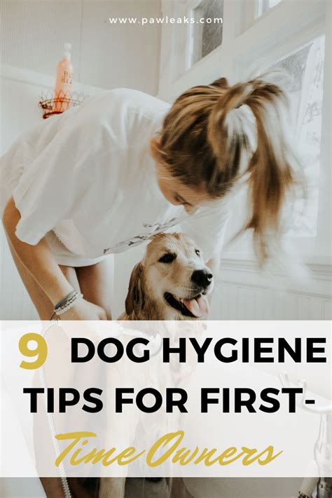  Proper exercise, nutrition, and hygiene also play an important role in the lifespan of your pet