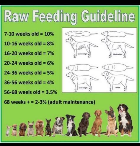  Proponents for raw feeding often cite raw feeding as the natural way, being that dogs were domesticated from wolves