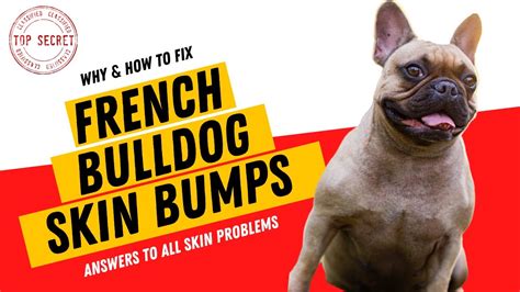  Pros Hypoallergenic formula can be suitable for sensitive French Bulldog skin