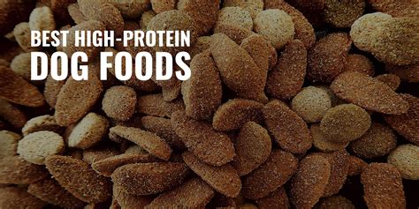  Protein is what essentially determines the quality of dog food