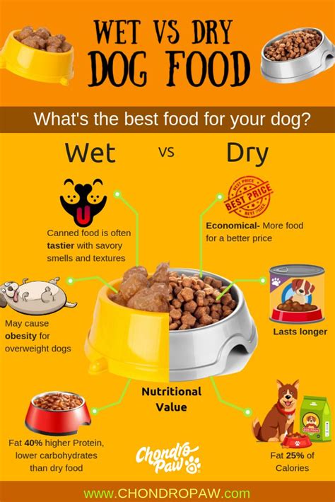  Puppies and older dogs often fair better with wet food