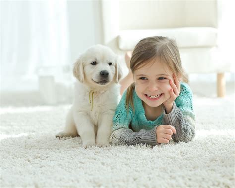  Puppies are being raised with children and other pets