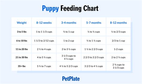  Puppies need three high-quality, well-balanced, measured meals a day