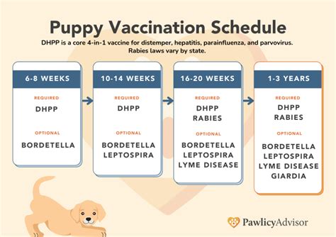  Puppies will receive their first set of vaccines