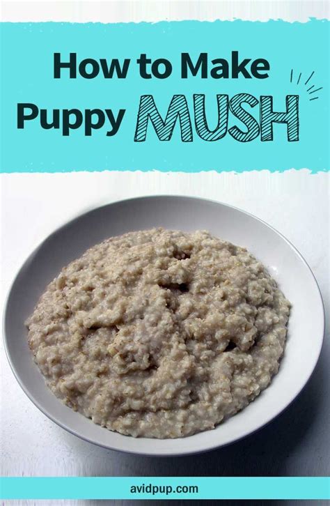  Puppy Gruel Ingredients The first step to making gruel for puppies or puppy mush is to choose the perfect ingredients