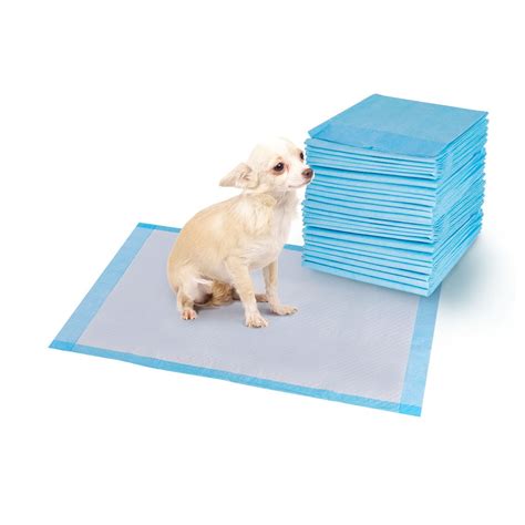  Puppy pee pads - if you are planning on house training with dog wee pads you should consider having them ahead of time prior to the puppy coming home