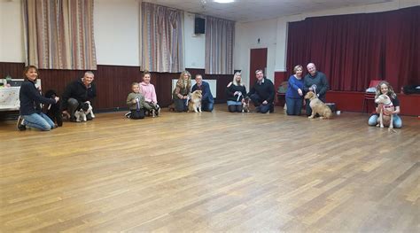  Puppy training classes are always an option and offer plenty of benefits aside from training too