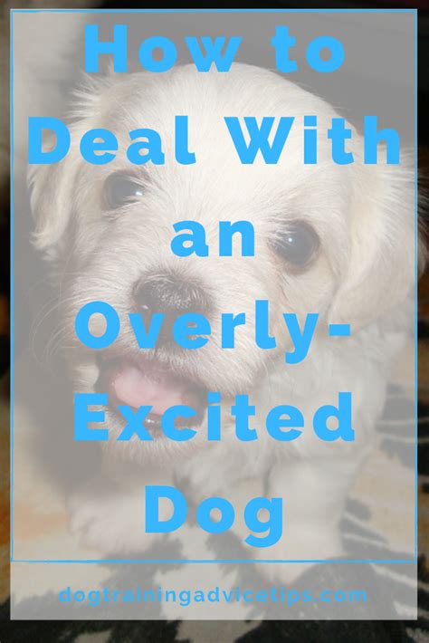  Rated 5 out of 5 Susan Dorsey verified owner — June 29, When my dog is overly anxious, she will not eat