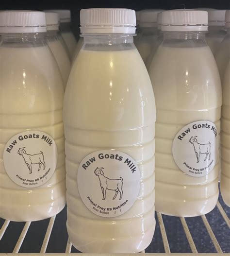  Raw goats milk is digested at a faster rate as well