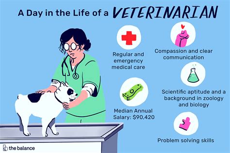  Read more about why veterinarians can