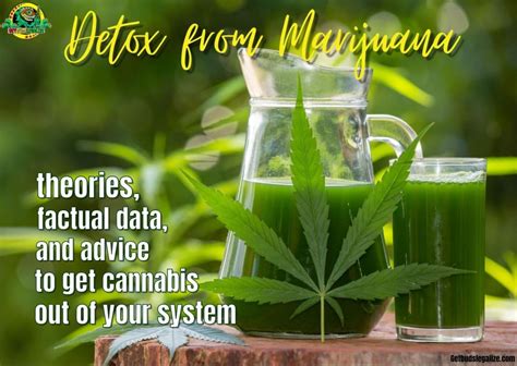  Read on to learn more about a cannabis detox