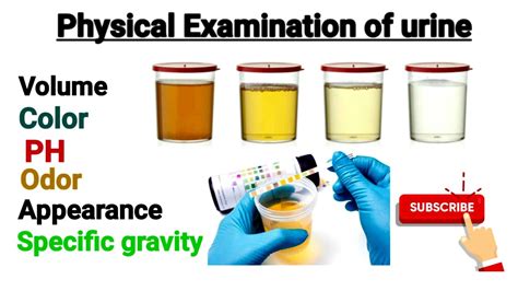  Real urine also has unique physical properties, such as specific gravity and pH, which may not be accurately replicated in the synthetic version