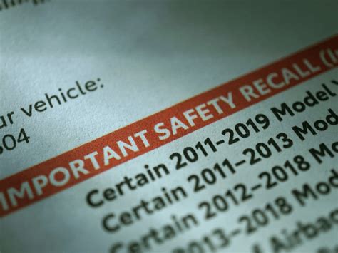  Recall History and Safety: Safety Record: Brands with a history of recalls or safety issues should be viewed with caution, as the safety of your pet is paramount