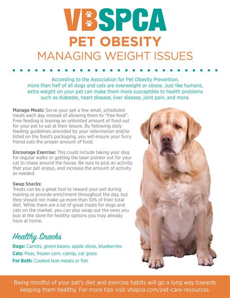  Recent Articles Dealing With Pet Obesity As pet obesity becomes more widespread, it is your duty as a responsible pet owner to recognize the signs and prevent your furry friend from becoming overweight