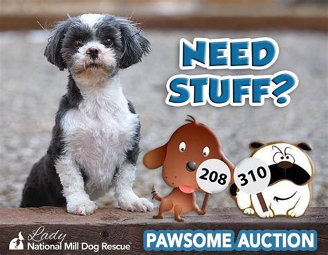  Recently, we attended an auction where a dog was an item up for bidding