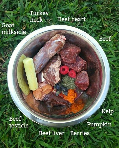  Recipe for raw dog food 49 Ground beef, beef heart, ground rabbit with bone, duck feet, Super Cube, green lipped mussel, and myoglobin