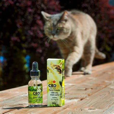  Regarding CBD oil for cats, our team prioritizes products that use minimal ingredients without pesticides, synthetic fertilizers, or inorganic materials