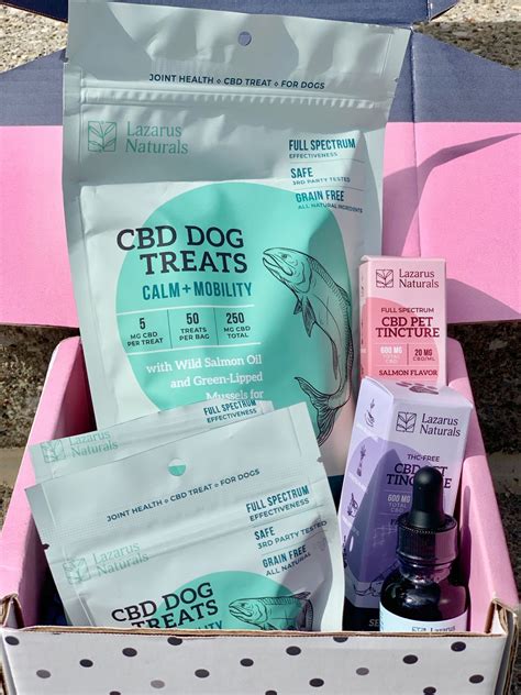  Regarding dog cancer, CBD tinctures may offer some promising benefits that could help ease the side effects of treatment and quality of life