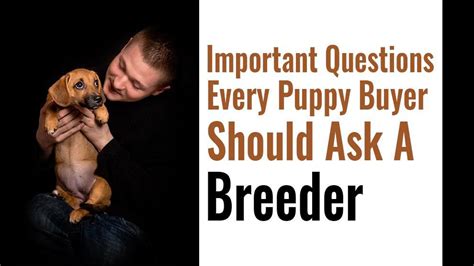  Regardless, you should always make sure you are buying from a reputable breeder