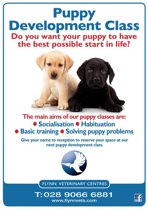  Regardless of owner experience, there are many benefits of puppy training classes