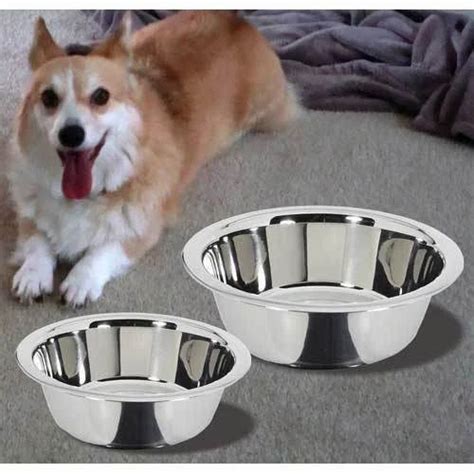  Regular bowls work fine but if you would like to go the extra mile there are special bowls designed specifically for brachycephalic breeds which helps slow down eating and therefore swallowing less gas and creating less gas and less chances for over eating and then throwing up those can be purchased online