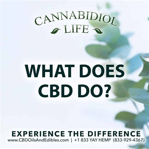  Relieves nausea in cancer patients CBD acts on the endocannabinoid receptors and affects the receptors by regulating neural transmissions