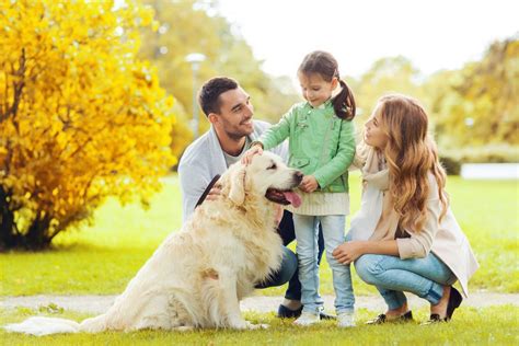  Remember, all young dogs form a bond with their family and a previous owner