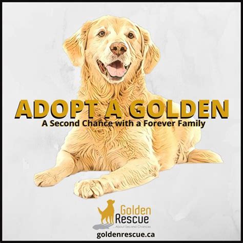 Remember, with AdoptDontShop, you can give a deserving rescue a second chance at happiness