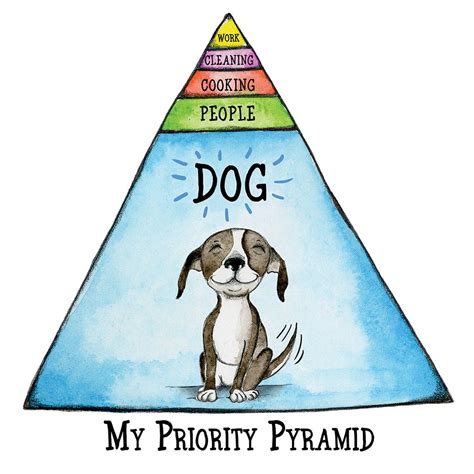  Remember that our priority is your pet